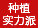 咨询